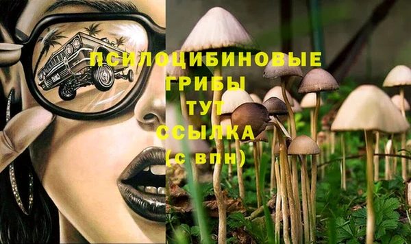 соль ск Балахна