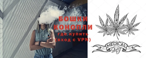 ПСИЛОЦИБИНОВЫЕ ГРИБЫ Горняк