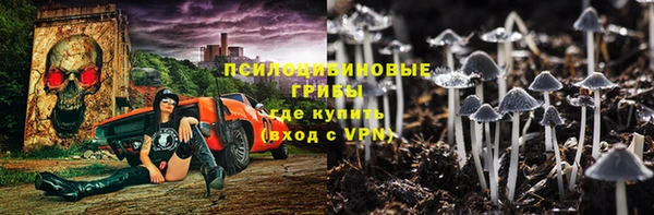 соль ск Балахна