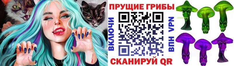 Псилоцибиновые грибы GOLDEN TEACHER  Кремёнки 